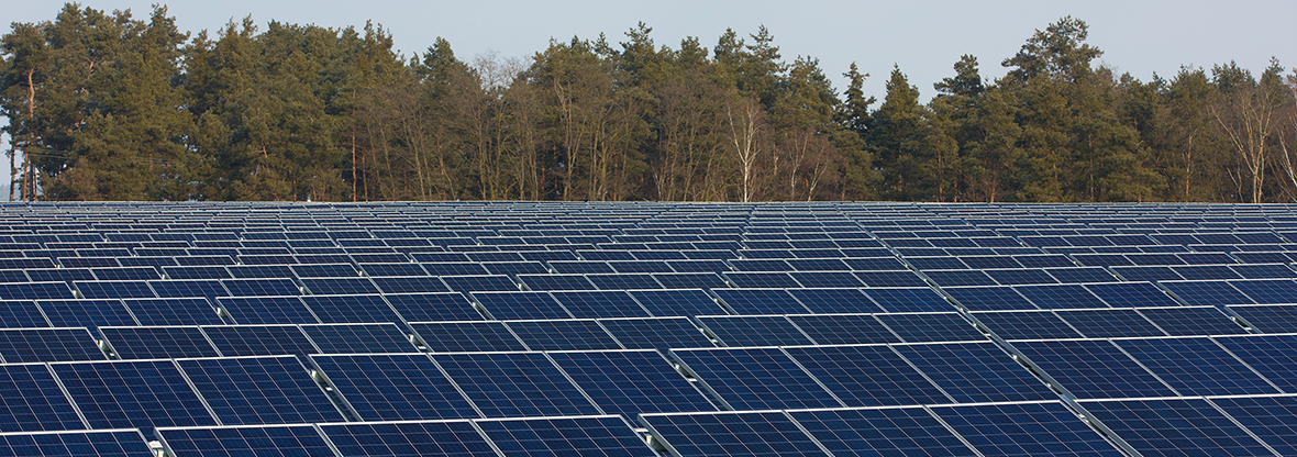 Solarpark Guben